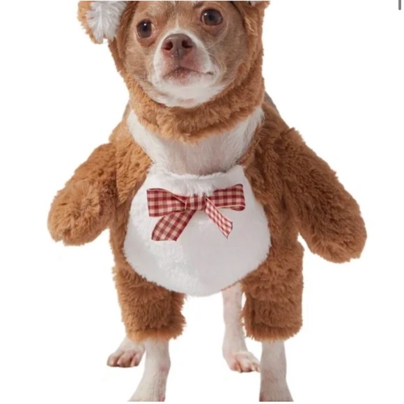 Brown Bear Costume for Cats or Small Dogs - Picture 3 of 3